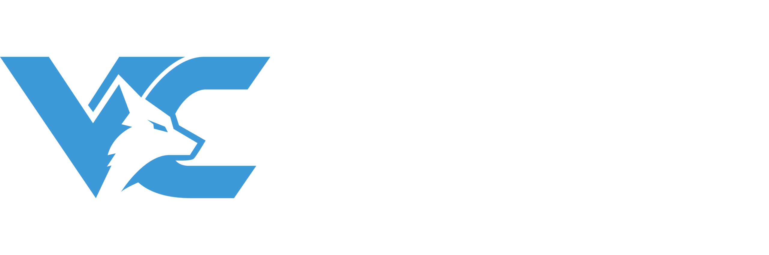 Volk Connections